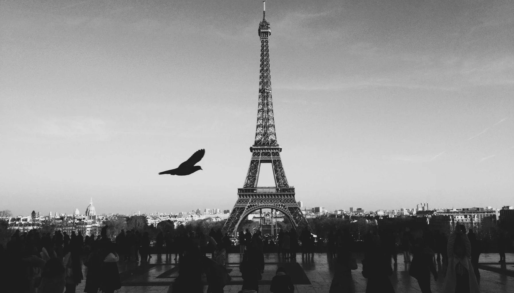 Expat Mortgages: Buying or Remortgaging from Overseas