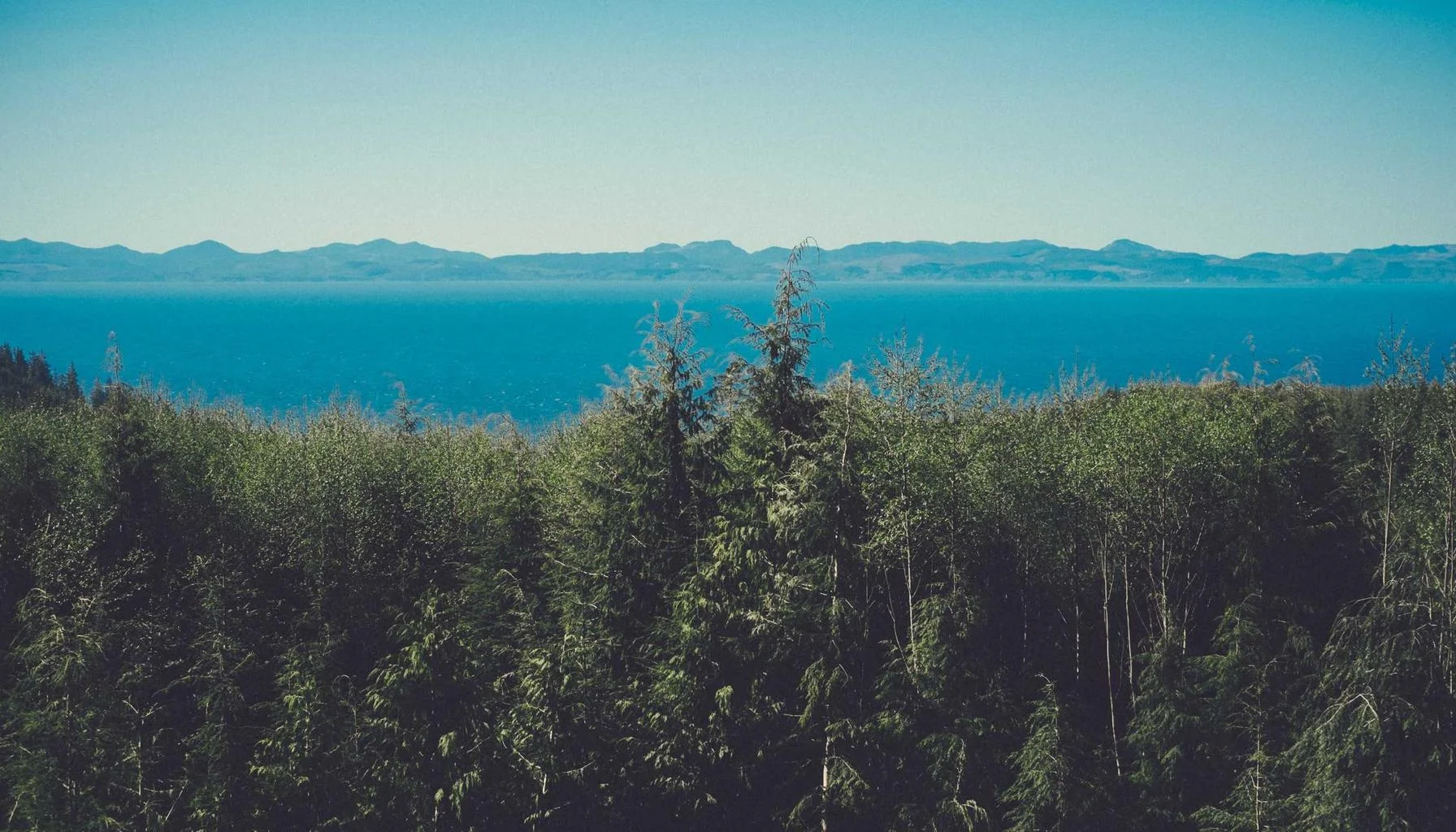 Land Mortgages: How to Finance a Plot of Land in the UK