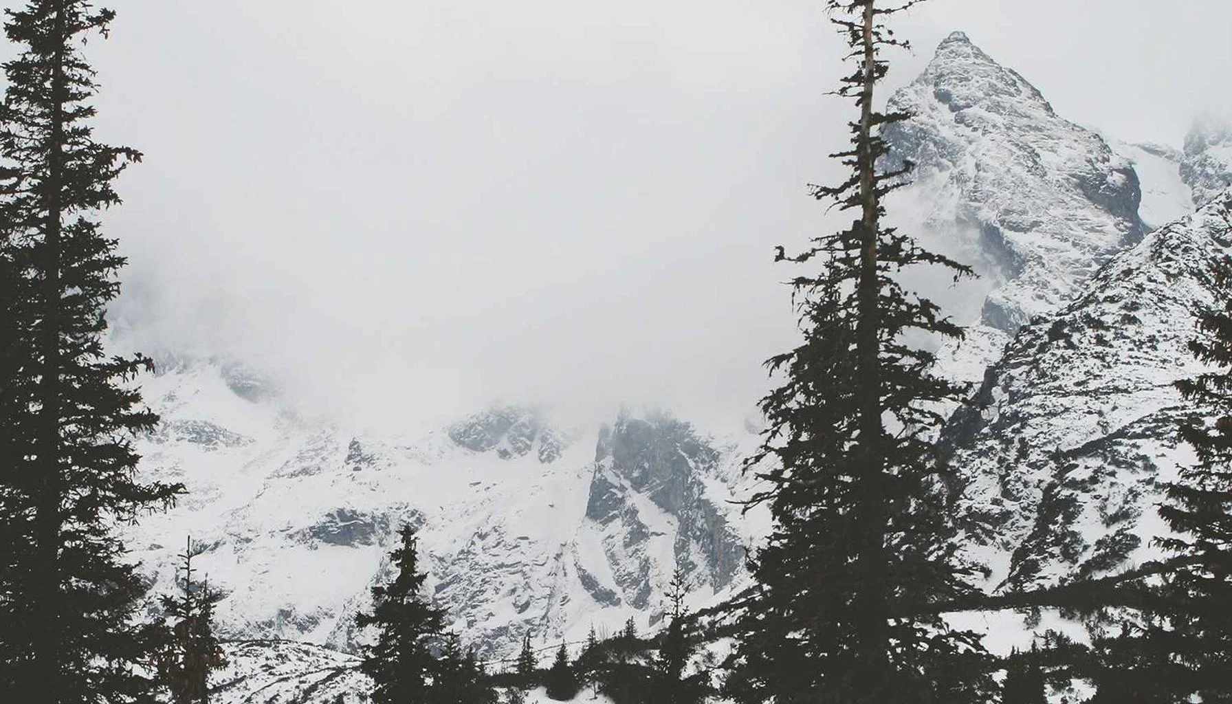 Portfolio Landlord Mortgages: The 4+ Property Rules Explained