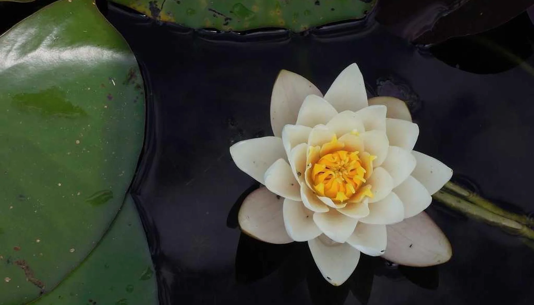 When Should You Remortgage? 7 Signs It’s Time to Switch