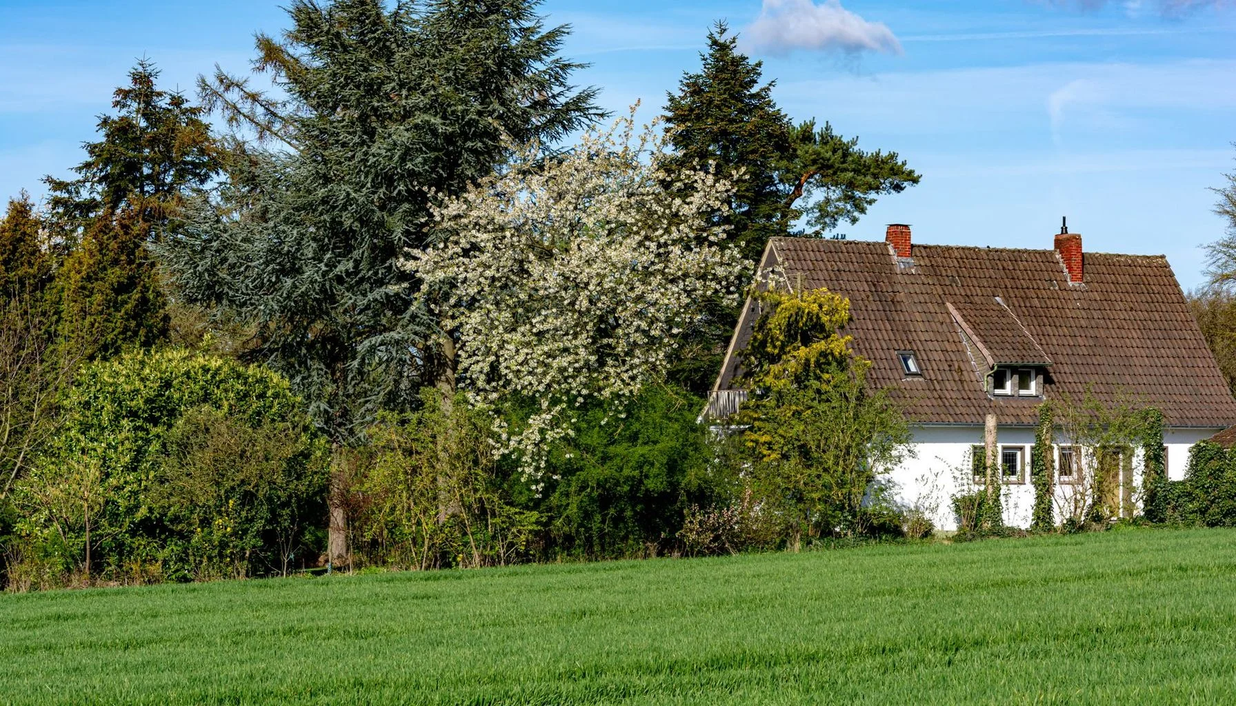 Landlords Choosing Not to Raise Rents: Key Insights